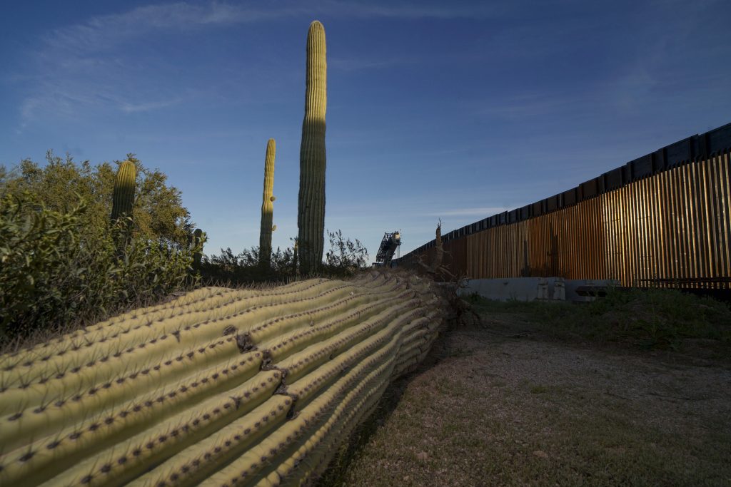 Study: Border Barriers Work