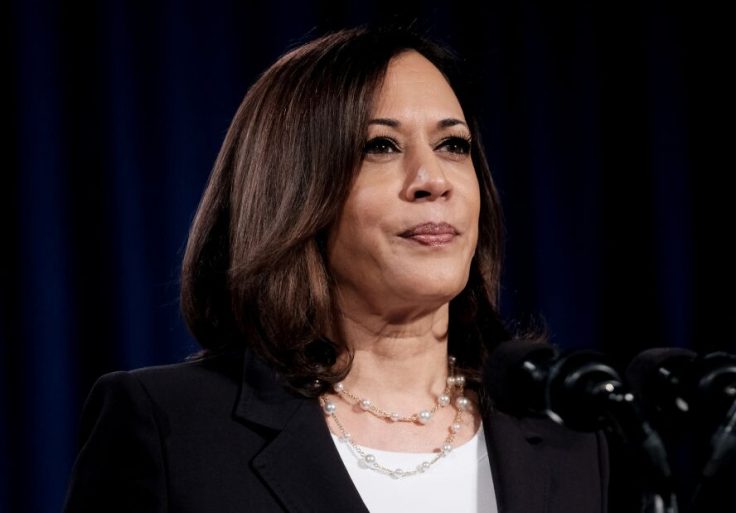 Harris: Democrats Embrace 'Diversity' of Radical and Moderate Views