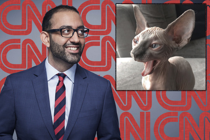 CNN Journalist Is Cat Owner