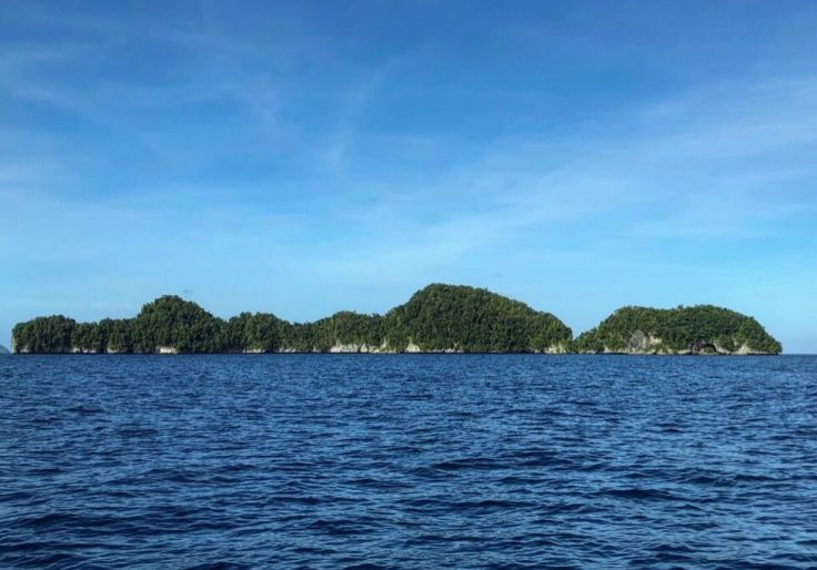 In Move Against China, Palau Invites Pentagon to Build New Bases in Pacific