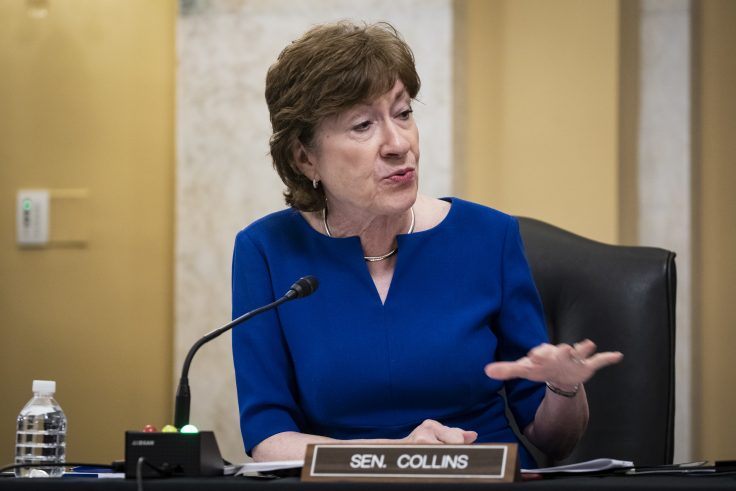 Anti-Collins Small Business Owners Are Longtime Dem Activists