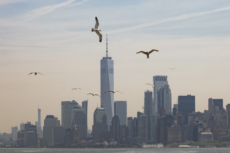 NYC’s Brearley School Demands Anti-Racism Pledge from Students, Parents for Admission