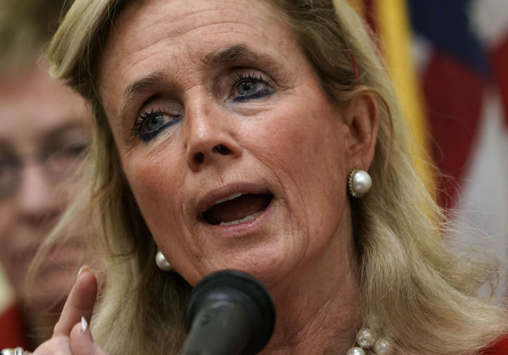 Michigan Dem Worries Democrats Will Lose Senate Seat