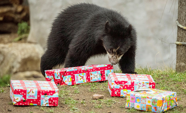 The 2020 Washington Free Beacon Christmas Gift Guide