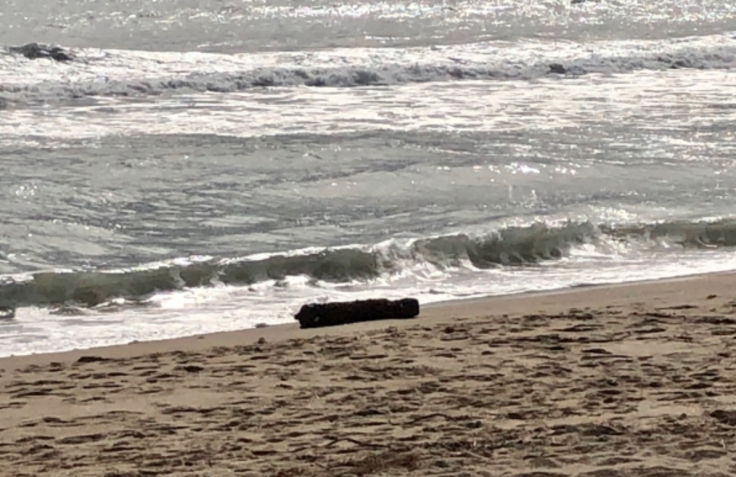 2020 Man of the Year: Bomb That Returned Home