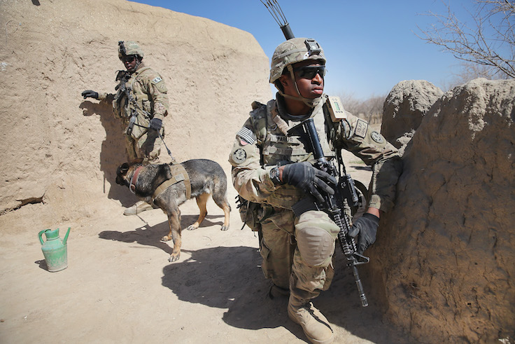 Cruz Moves to Take Taxpayer Money from Iran Nuclear Deal and Give to Military Dogs