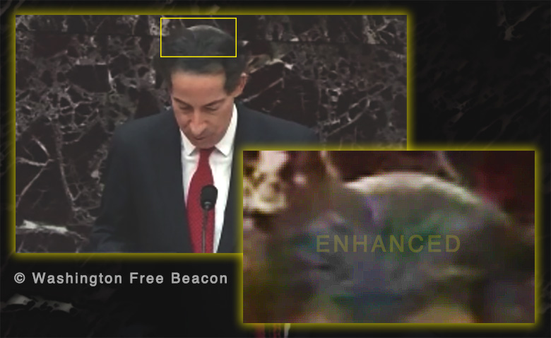 Bald Spot or Yarmulke? Free Beacon Investigates the Top of Rep. Jamie Raskin's Head
