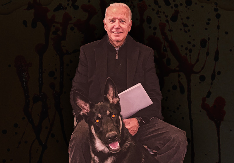 ANALYSIS: Biden's Bloodthirsty, Floor-Pooping Canine Companion Is a Window Into His Soul