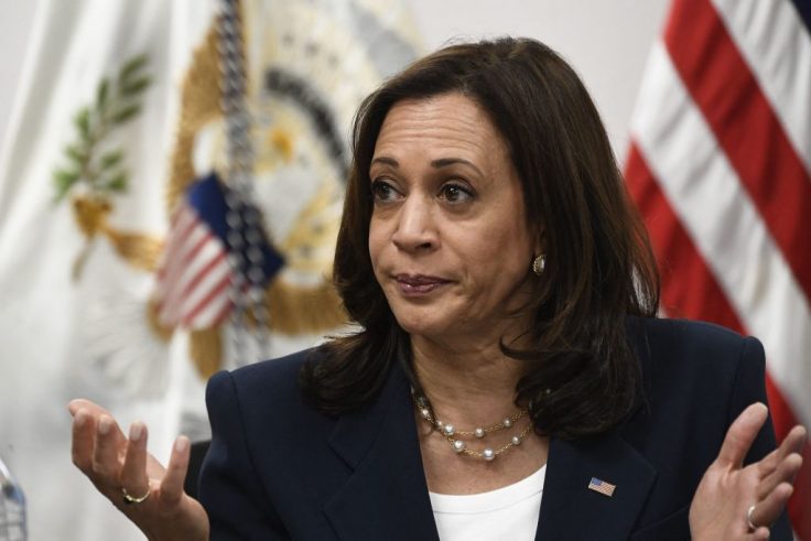 As Violent Riots Swept the Nation in 2020, Kamala Harris Called 'To Redirect Resources' From Law Enforcement