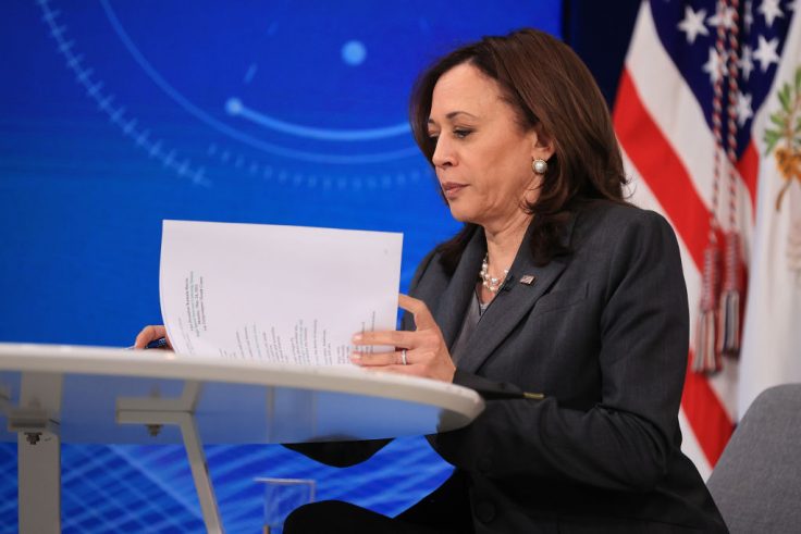 A Comprehensive Guide to All the Problems Kamala Harris Is Solving With Her Extensive Leadership Skills