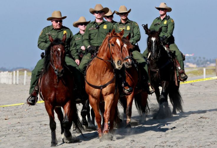 ALERT: Even Horses Are Suffering in Biden Economy