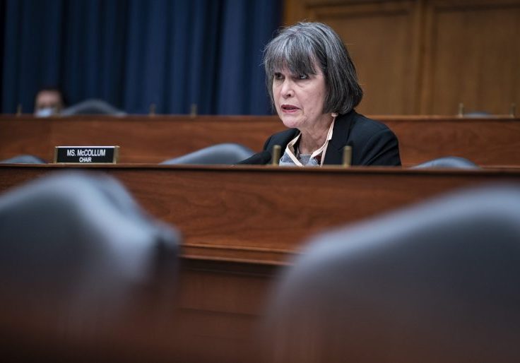 House Dems Praise Designated Terrorist Groups for 'Courageous Work'