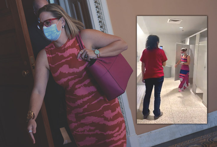 Shadowy Liberal Donor Network Stands By Activists Who Harassed Sinema in Bathroom