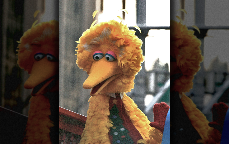 Big Bird's Tweets Reveal History of Offensive Rhetoric, Questionable Affiliations