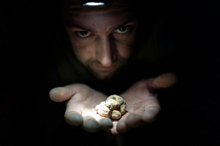 Earthy Possessions