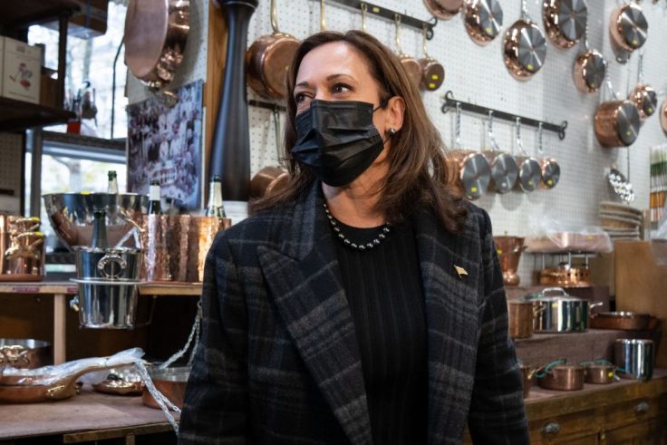 She Persisted: Kamala Harris Won't Be Distracted by Free Beacon Kitchenware Bombshell