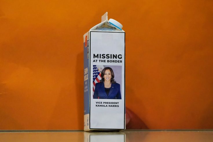 Border Czar Kamala Harris Heads to the Border—To Push Green Energy