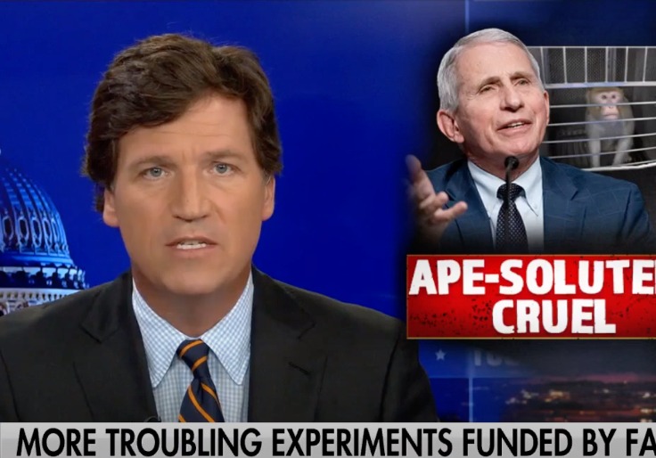 Tucker Carlson Slams NIH Study That Created Transgender Monkeys for HIV Research