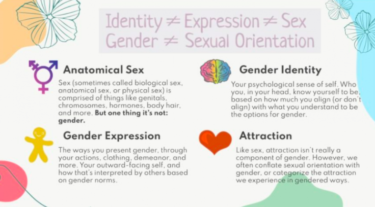 Massachusetts High School Pushes To Erase 'Gendered Terms' From Biology Class