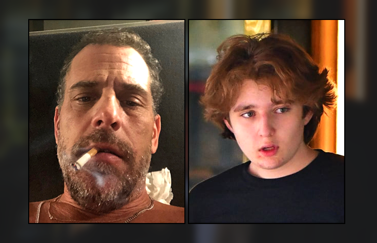 Democrat Compares Hunter Biden to Barron Trump, Slams GOP for 'Harassing' 52-Year-Old Former Crack Head