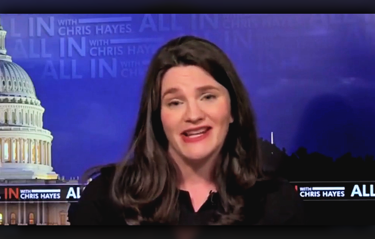 I'm Not a 'Partisan Actor,' Says Democratic Donor Who Campaigned for Hillary
