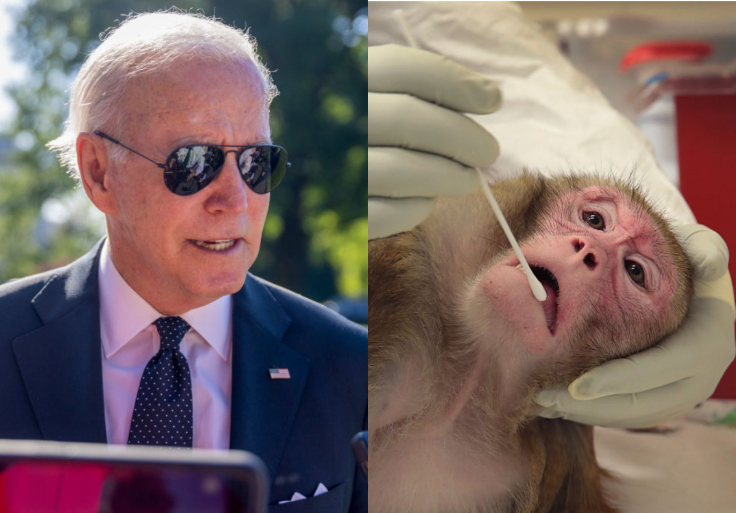 Monkey Business: Biden Admin’s Transgender Primate Experiment in Turmoil After Free Beacon Report