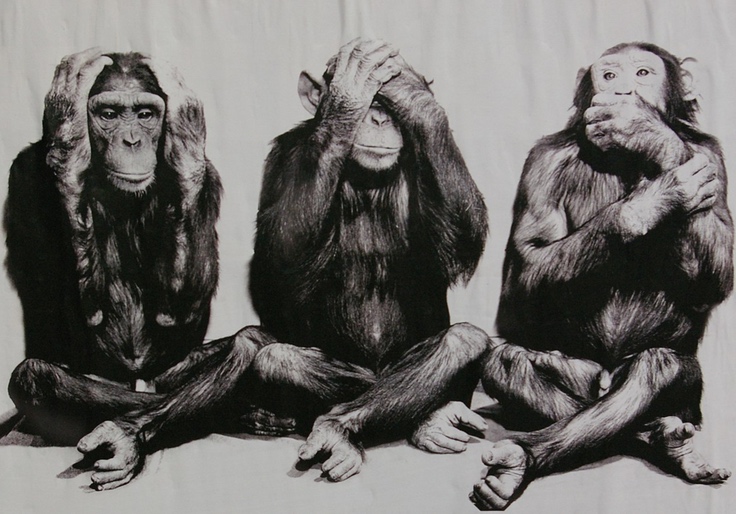 World Health Organization Will Rename Monkeypox, Citing Racism