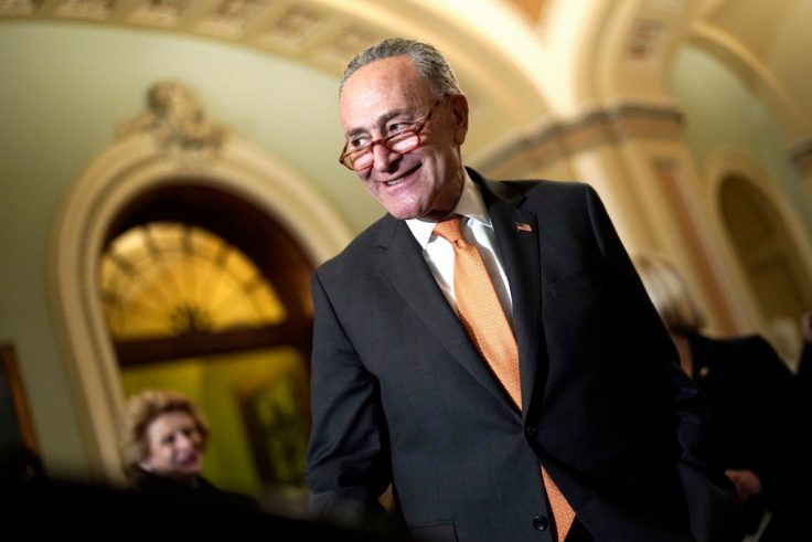 Private Equity Giant Taps Schumer's Son-in-Law as Lobbyist