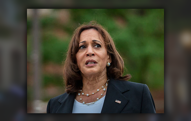 Kamala Harris Doesn't Want To Be in Charge of Anything