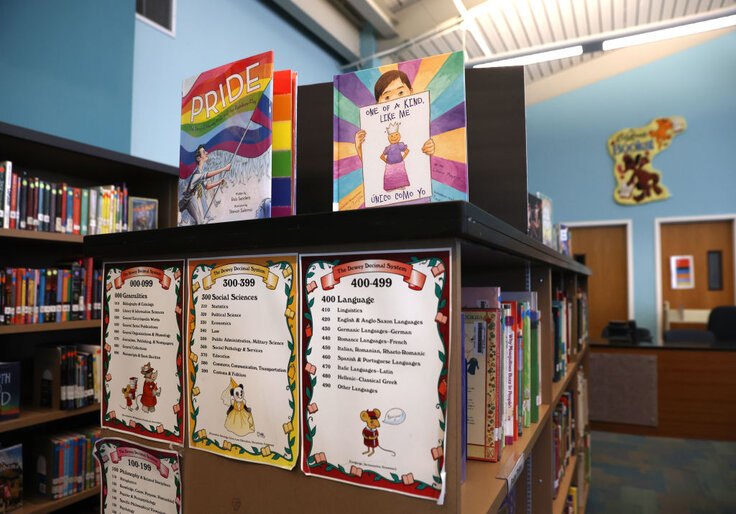 Meet the Taxpayer-Funded Group Pushing 'Transgender Identity' on Two-Year-Olds