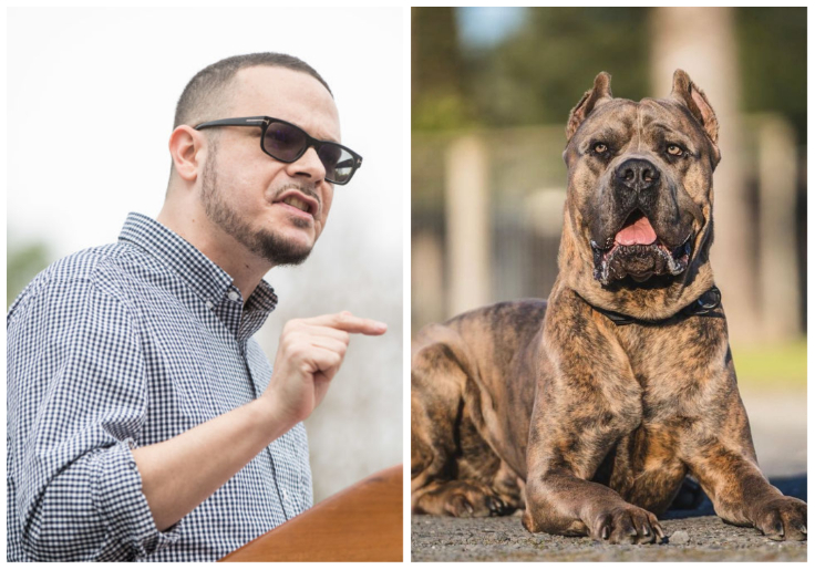 BLM Activist Vows Revenge After 'Free Beacon' Report on His $40K Show Dog