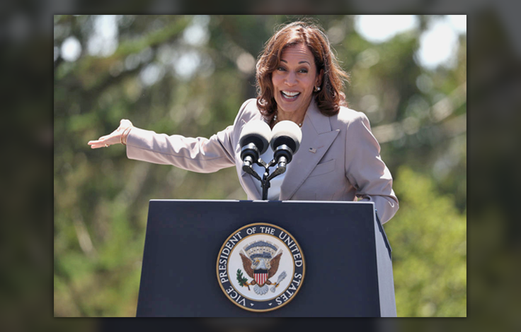 'The Disappointment Is Real': For Kamala Harris Superfans, a Case of Buyer's Remorse