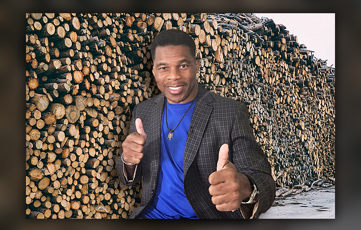 Herschel Walker Is Right About Trees