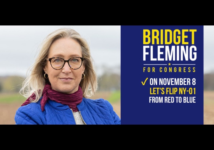 After Failing To Pay Own Taxes, New York Dem Bridget Fleming Voted To Hike Taxes for Everyone Else