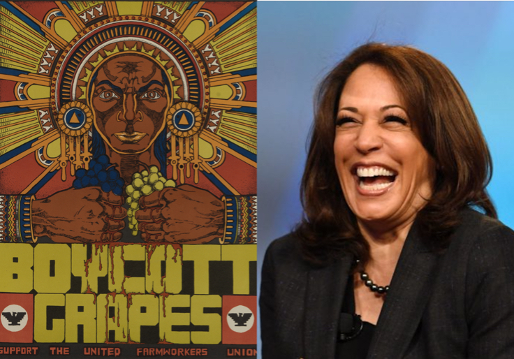 Harris Gets Caught in Bizarre Lie About Never Eating Grapes