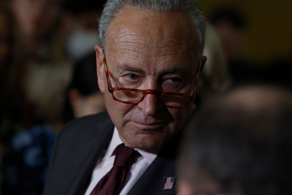 Schumer Tells Dems They'll Probably Lose House Majority