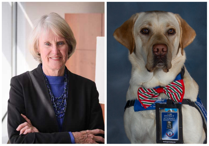 RUFF LIFE: Denver DA Hires Dog To Help Victims Cope With 'Trauma'
