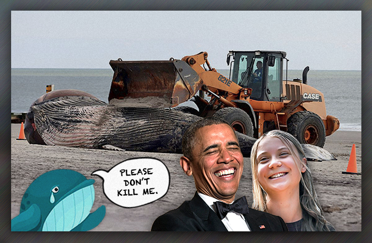 Democrats Are 'Saving the Environment' by Killing Whales