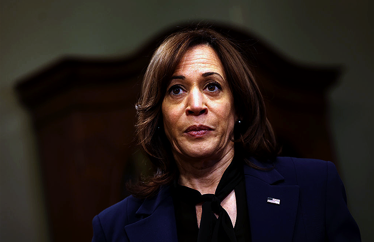 Kamala Harris Faces Scrutiny Over Political Career and Policy Stances