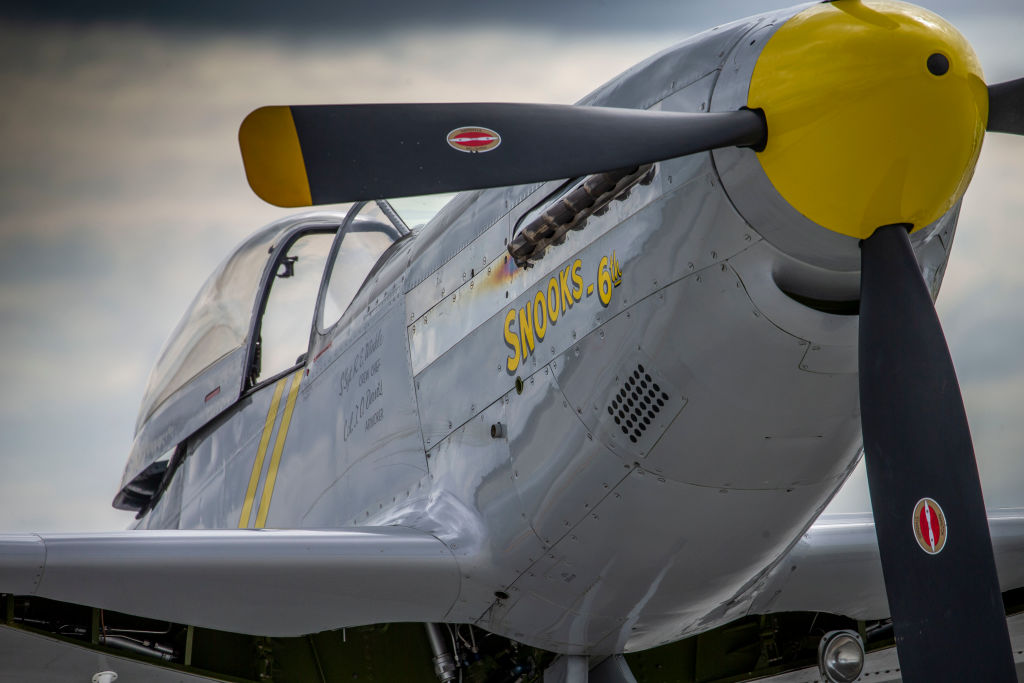Mustangs to the Rescue