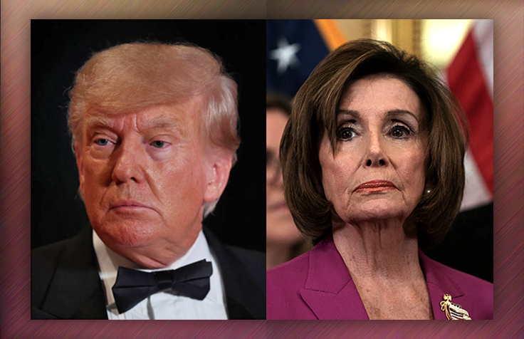 Trump Defeats Pelosi in Vote for House Speaker