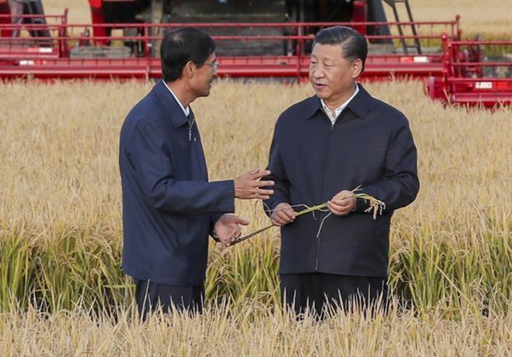 'They Could Literally Starve Us': Republicans Push To Ban China From Purchasing US Farmland