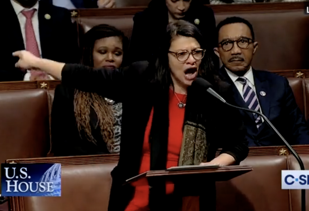 'Squad' Member Rashida Tlaib Breaks Down in Tears as Republicans Vote To Demote Ilhan Omar