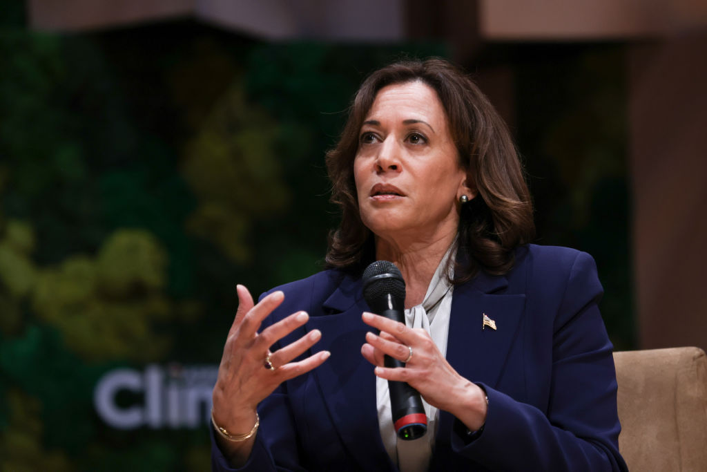 ‘Blame It on Kamala Harris’: VP Gave Lenient Plea Deals to Murderers, Domestic Abusers as DA
