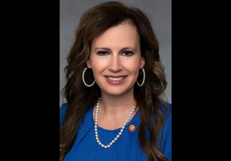 NC Lawmaker Announces Blockbuster Switch to GOP: Dems 'Villainize Anyone Who Has Free Thought'