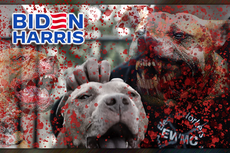 Dog Whistle: Biden Launch Video Features Notorious Child Killer