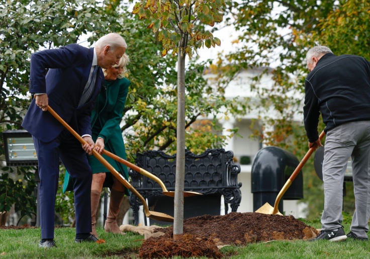 Biden to Spend $1 Billion in Taxpayer Funds to Advance 'Equitable Access to Trees'