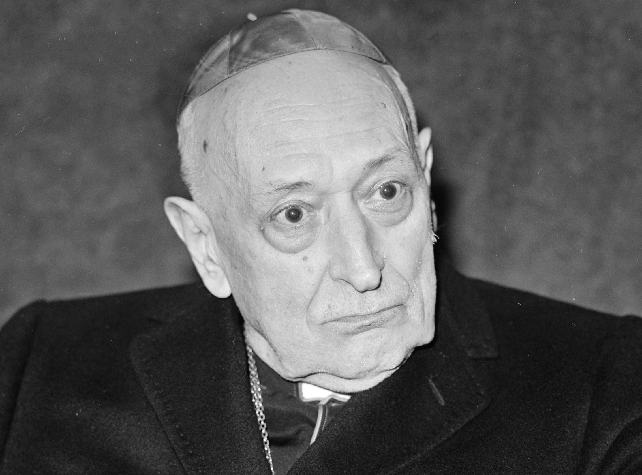 The Captive Cardinal