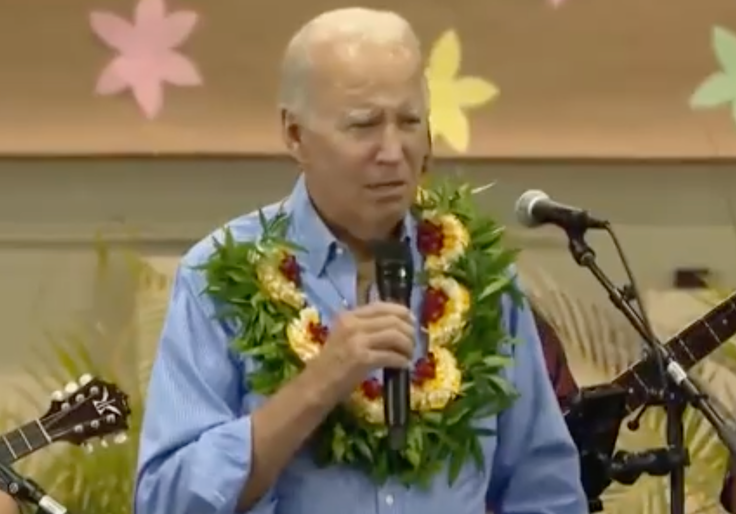 House Republicans Launch Probe of Hawaii Wildfires Response