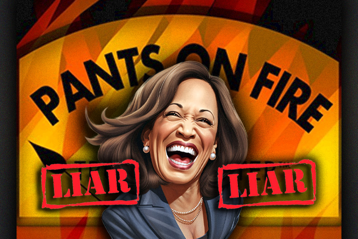 OUCH: Kamala Harris Gets Brutally Fact Checked for Claiming People Like Her